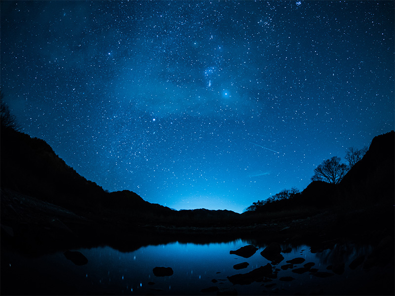 大人向けの夜間アクティビティ